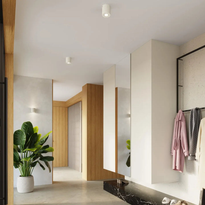Applique orbis en béton beige avec plante verte luxuriante dans un design contemporain à forme originale