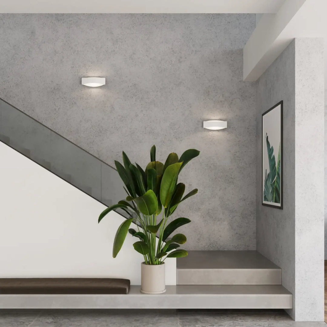 Une plante verte luxuriante dans un pot en céramique blanc posé près de l’applique toni pour une décoration subtile aux couleurs classiques