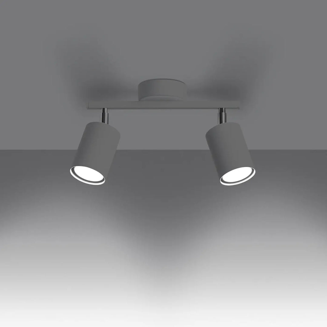Plafonnier lemmi 2 blanc avec deux têtes cylindriques ajustables et module led pour une lumière conviviale moderne