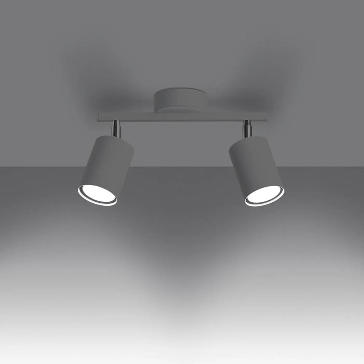 Plafonnier lemmi 2 blanc avec deux têtes cylindriques ajustables et module led pour une lumière conviviale moderne