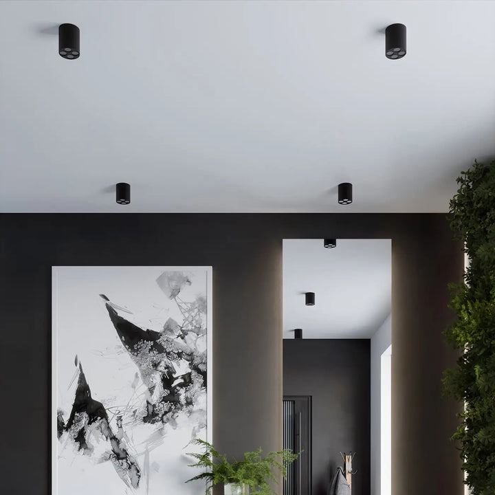 Luminaire plafonnier zoe led noir lampe zoe avec design moderne pour une combinaison parfaite d éclairage minimaliste