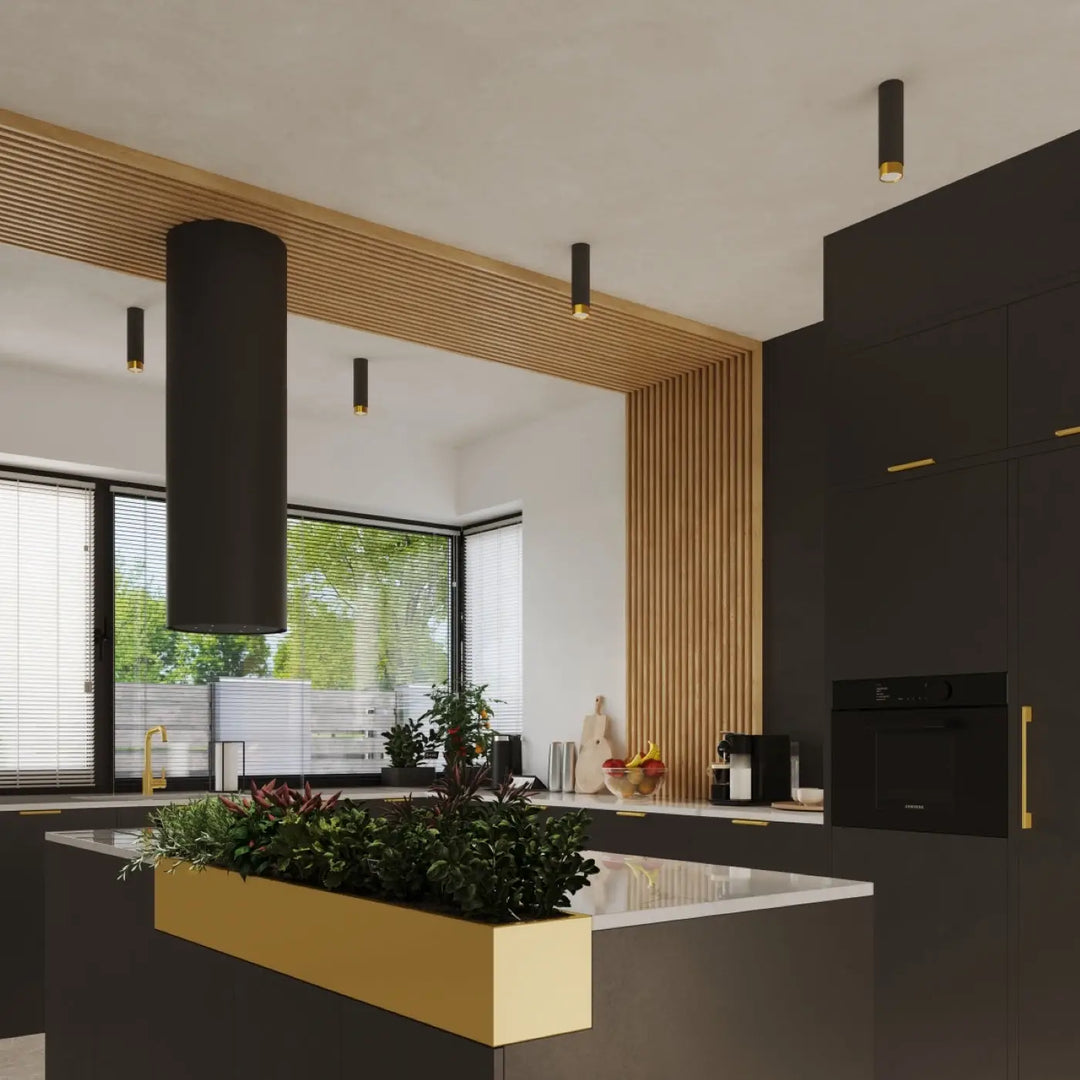 Luminaire plafonnier plafond nero doré avec design moderne allie élégance et plante verte dans cuisine contemporaine