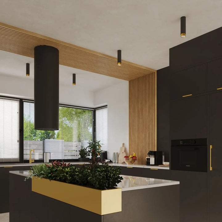 Luminaire plafonnier plafond nero doré avec design moderne allie élégance et plante verte dans cuisine contemporaine
