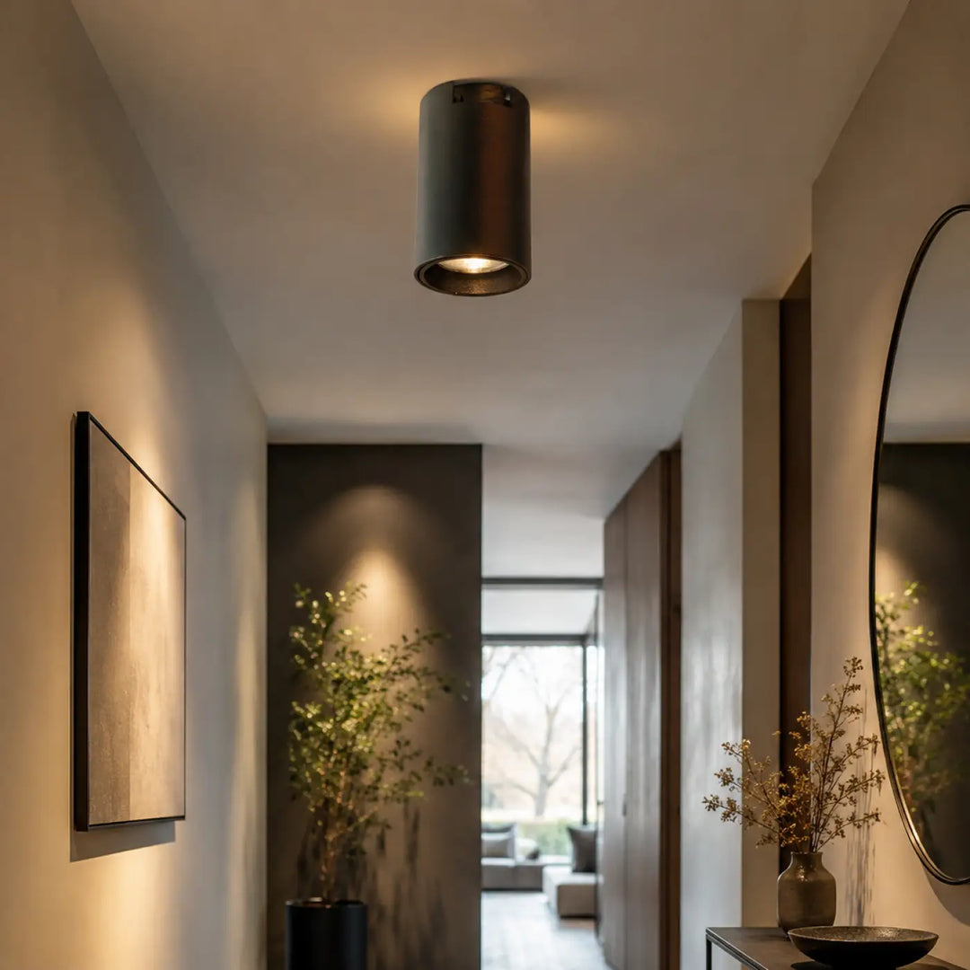 Luminaire plafonnier moderne cylindre mat noir en finition sombre pour un éclairage élégant et contemporain