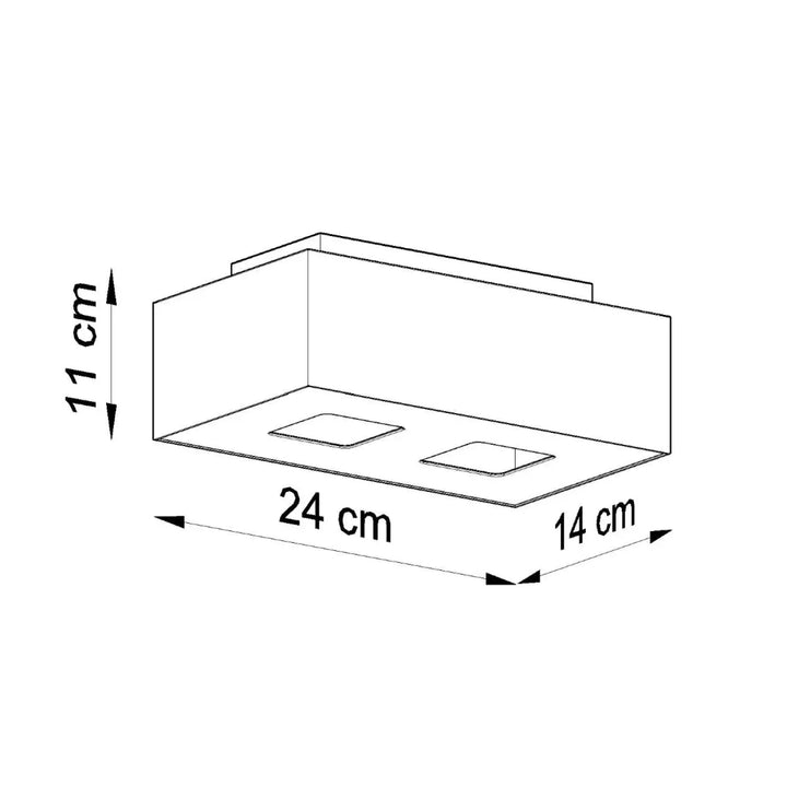 Luminaire plafonnier moderne mono noir avec spot allongé rectangulaire 24x14x11 cm et deux sources lumineuses carrées