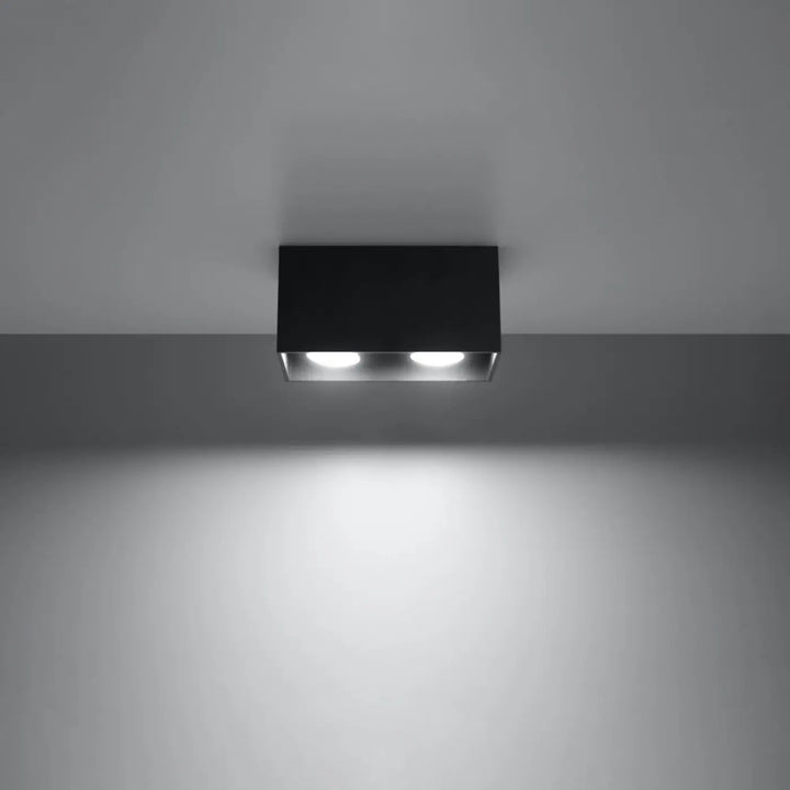 Luminaire plafonnier quad noir avec deux ampoules led lumineuses ideal pour plafond quad maxi en bois naturel