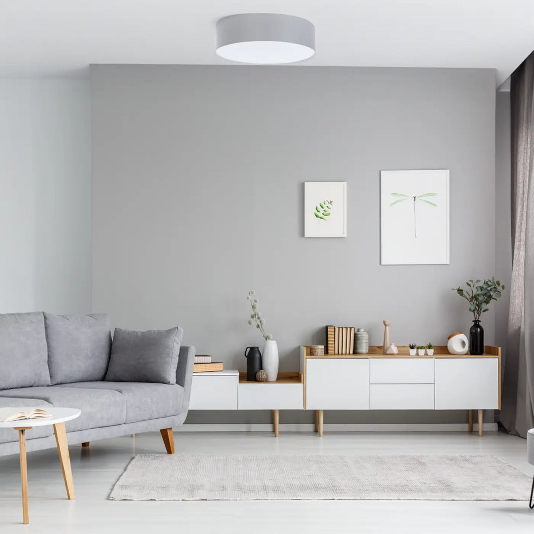 Luminaire plafonnier gris platine au design cylindrique minimaliste avec une illumination blanche douce