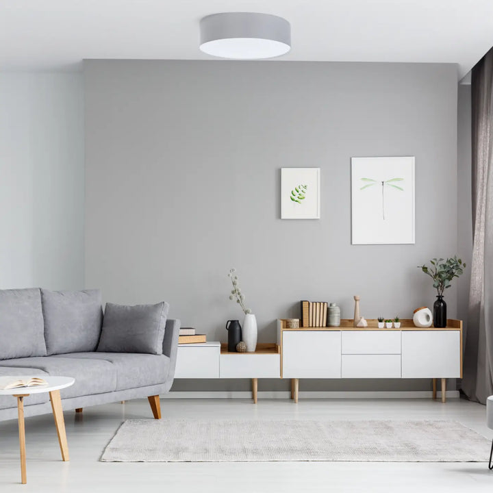 Luminaire plafonnier gris platine au design cylindrique minimaliste avec une illumination blanche douce