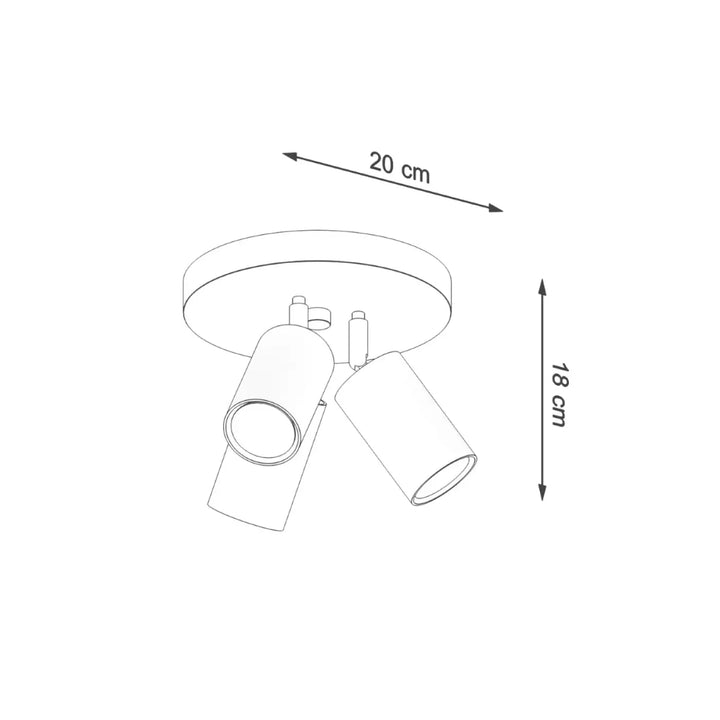 Luminaire plafonnier ring 3p noir avec double spot cylindrique que vous pouvez facilement installer au plafond