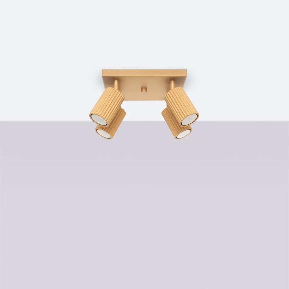 Plafonnier karbon allie design minimaliste en finition or avec deux têtes cylindriques réglables et ampoules gu10 interchangeables