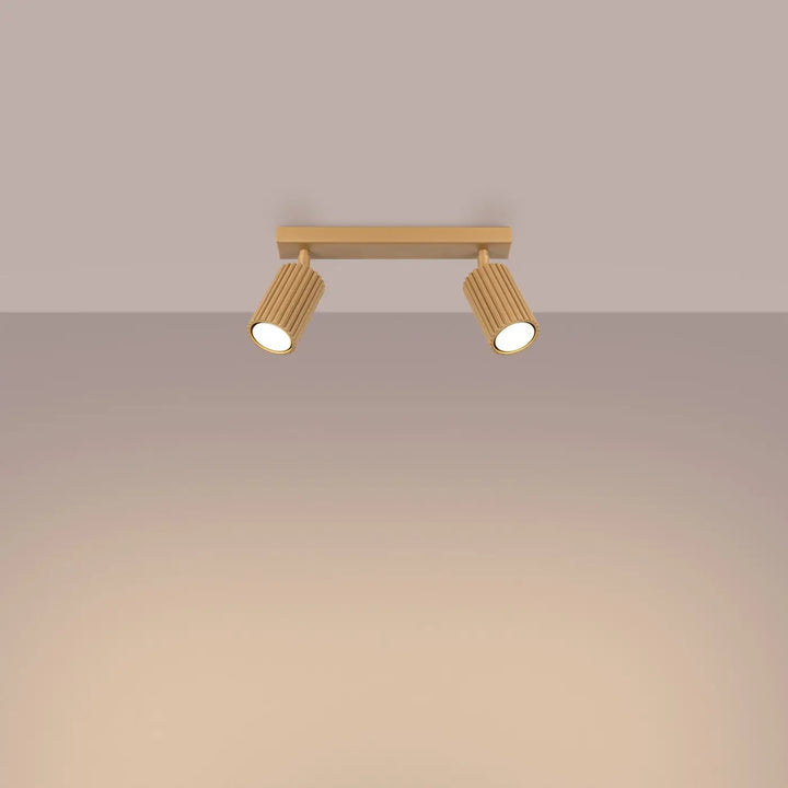 Plafonnier karbon allie or avec deux spots cylindriques à ampoules gu10 interchangeables design minimaliste