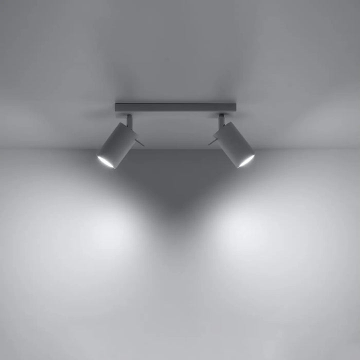Luminaire plafonnier ring 2 blanc avec deux spots réglables en gris mat que vous pouvez facilement installer