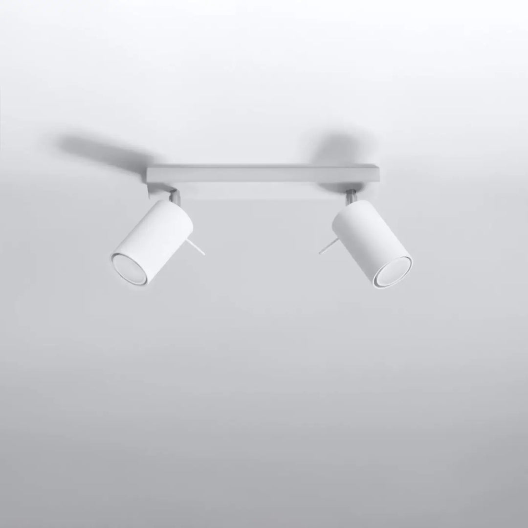 Luminaire plafonnier ring 2 blanc à double spot avec design minimaliste que vous pouvez facilement installer