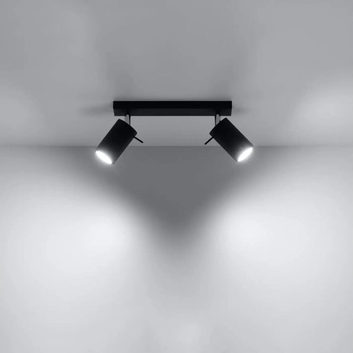 Luminaire plafonnier ring 2 noir avec double spot design moderne que vous pouvez facilement installer