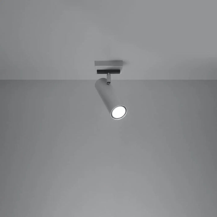 Luminaire plafonnier direzione 1 blanc avec spot sur rail argenté ajustable pour un plafond minimaliste et éclairage élégant