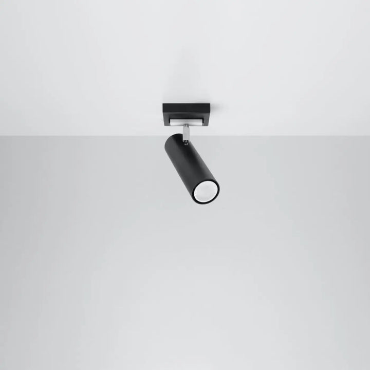 Luminaire plafonnier direzione 1 noir avec spot cylindrique mat et accent argenté pour un plafond minimaliste élégant
