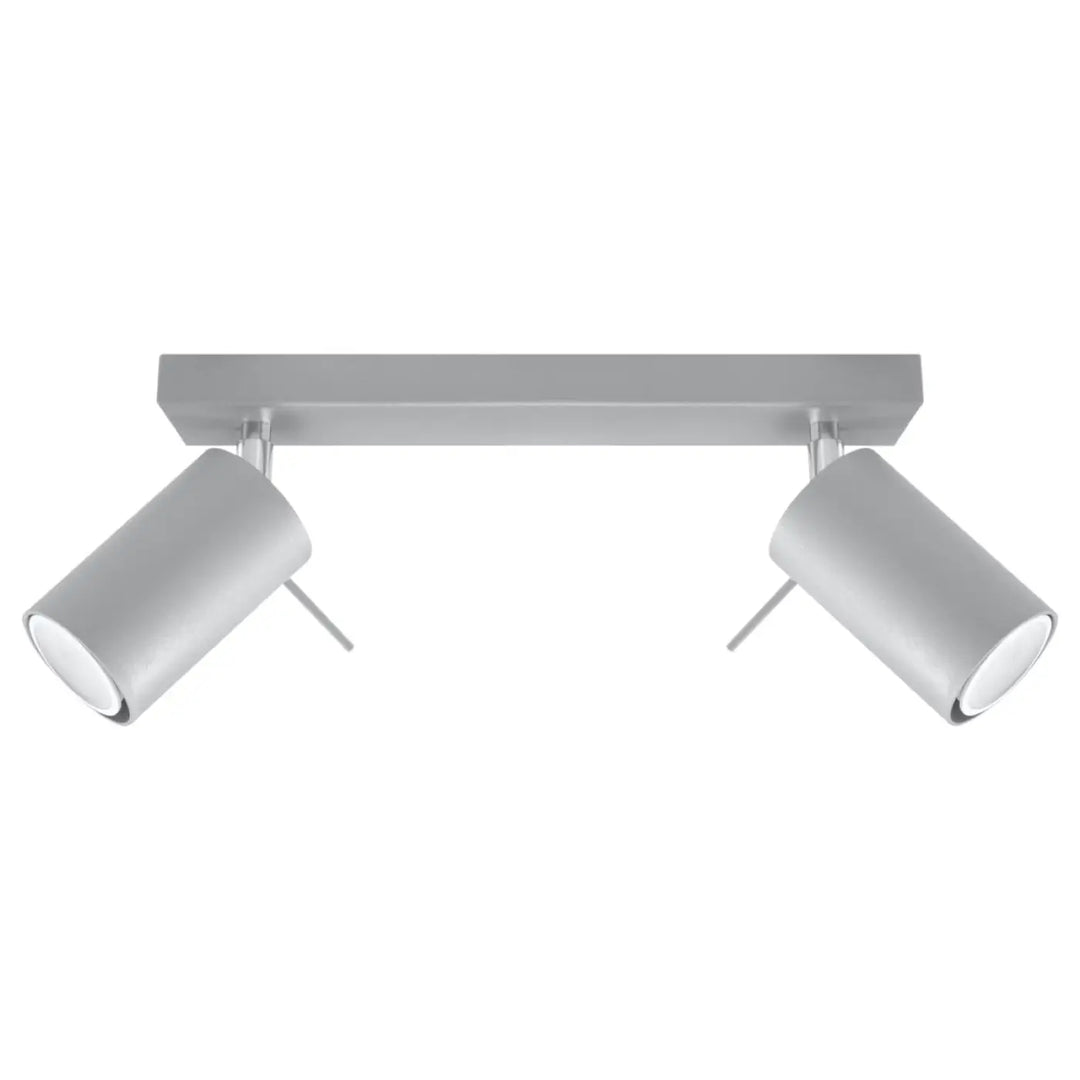 Luminaire plafonnier ring 2 gris avec double spot cylindrique ajustable que vous pouvez installer facilement