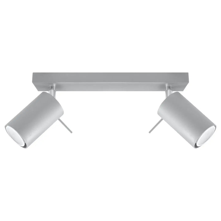 Luminaire plafonnier ring 2 gris avec double spot cylindrique ajustable que vous pouvez installer facilement