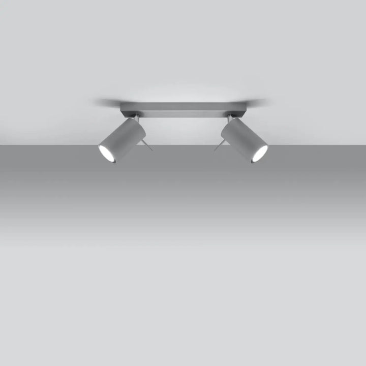 Luminaire plafonnier ring 2 gris avec double spot orientable moderne que vous pouvez facilement installer