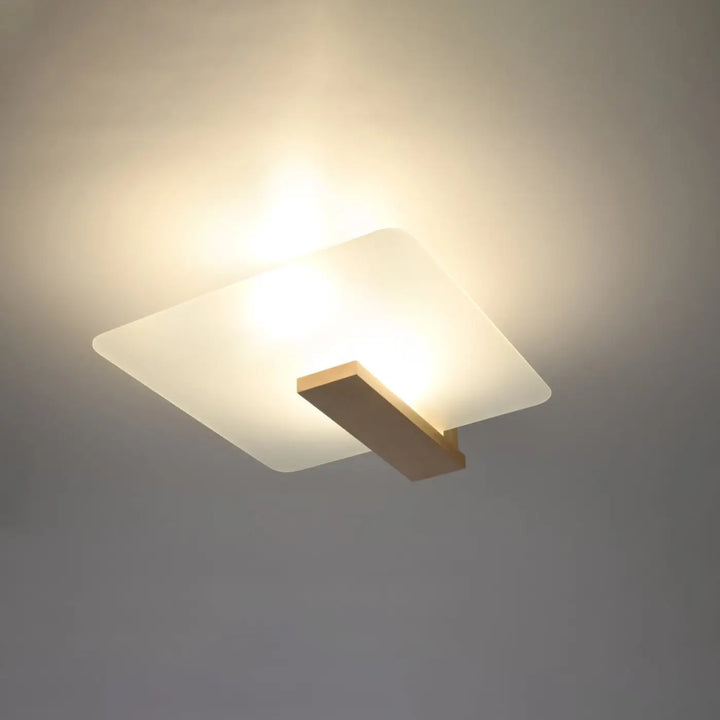 Luminaire plafonnier lappo avec diffuseur en verre dépoli et cadre en laiton brossé design intemporel pour lampes surprenantes