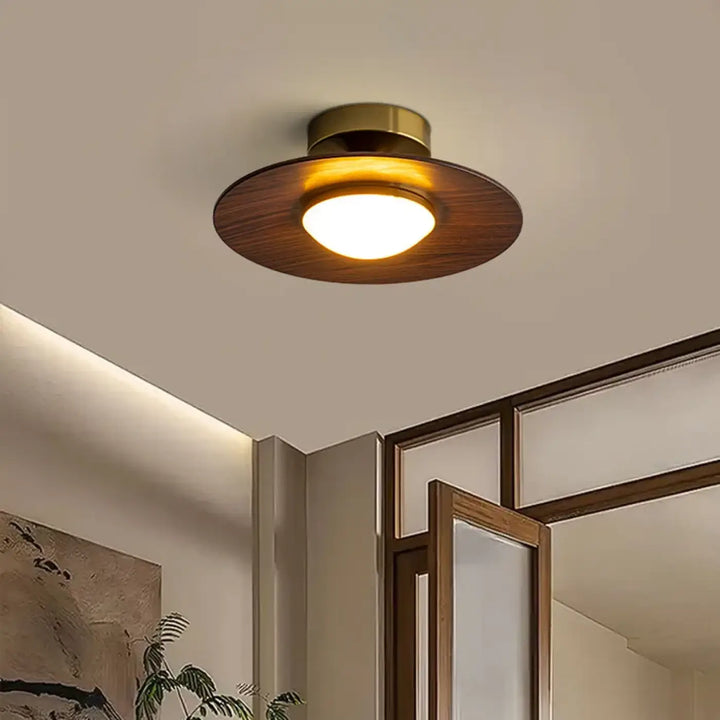 Plafonnier ambiance moderne haut de gamme marron élégant
