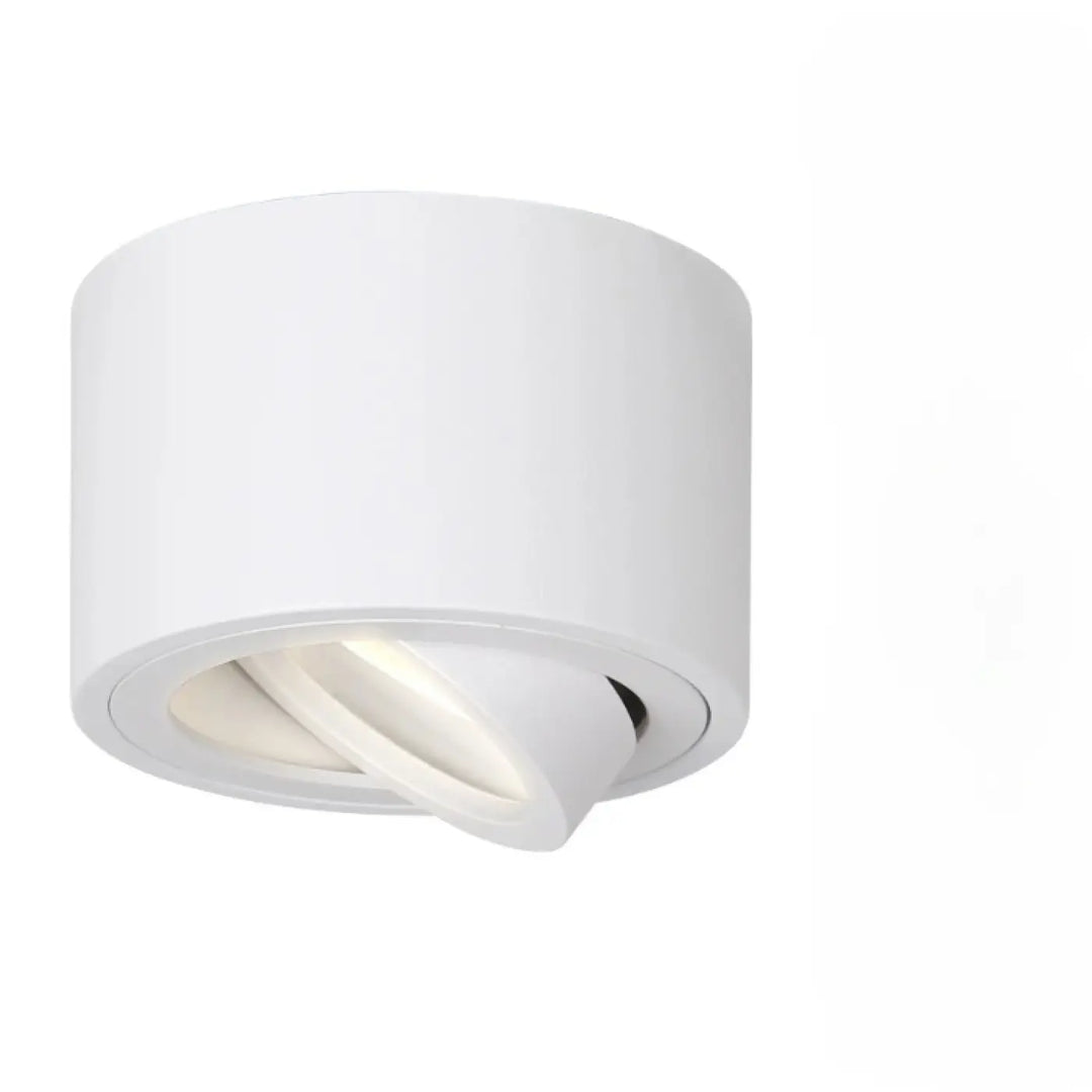 Luminaire plafonnier trigo blanc avec éclairage led ajustable et saillie orientable design moderne et cylindrique