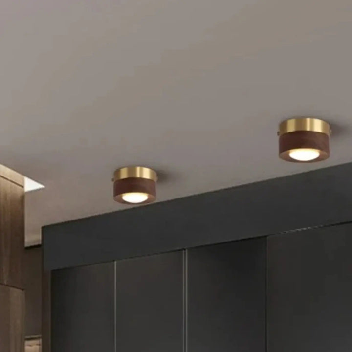 Luminaire plafonnier ulori avec deux spots encastrés finition laiton doré et accents en bois naturel emission chaleureuse