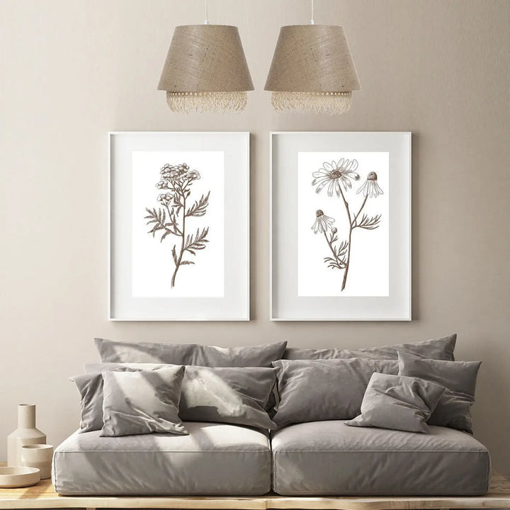 Deux estampes botaniques avec illustrations en encre noire dans des cadres blancs simples à côté d’une suspension luminaire beige sensei rattan