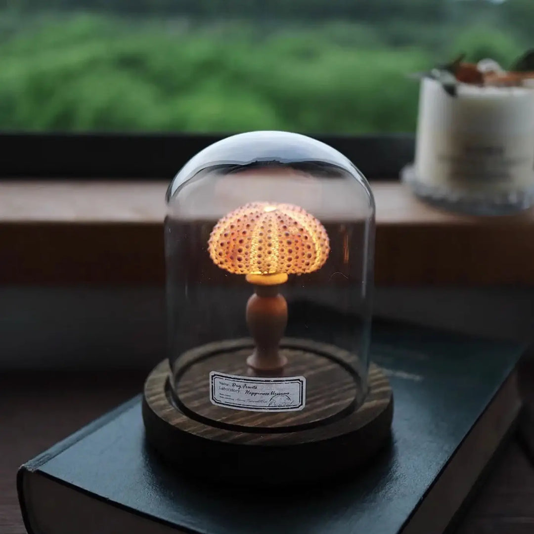 Veilleuse marina en forme de champignon avec surface orange-brun texturée et tige en bois sous dôme en verre clair