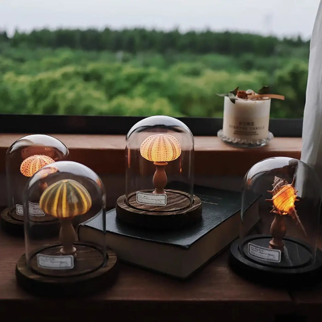Veilleuse marina avec lanternes en forme de champignon à lumière chaude sous globe en verre sur socle bois foncé