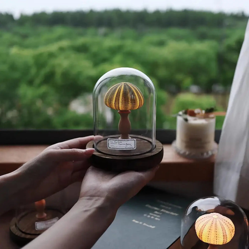 Veilleuse marina avec oursin doré décoré sous globe en verre sur socle en bois sombre